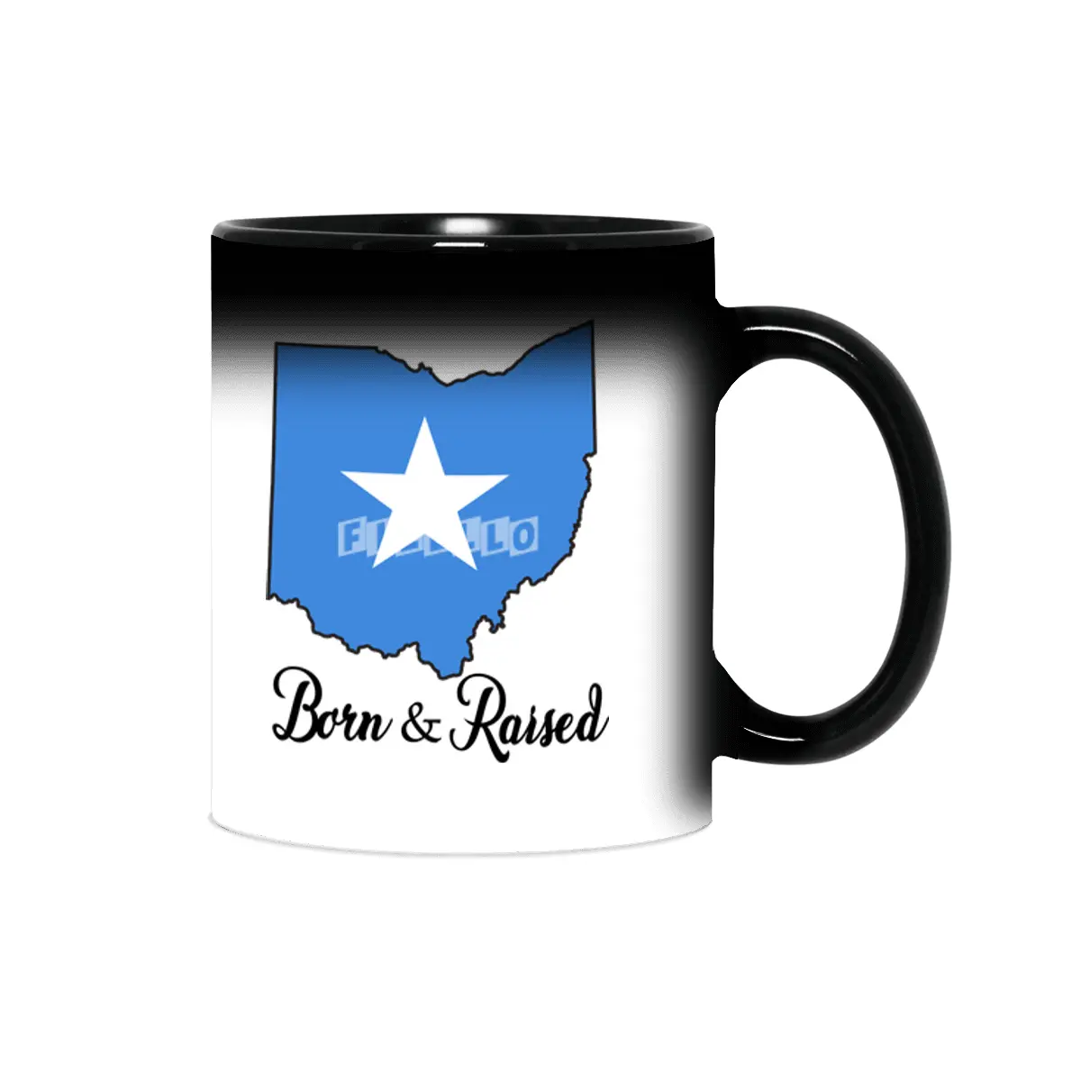 Born in Somalia Raised in Ohio Sihirli Kupa