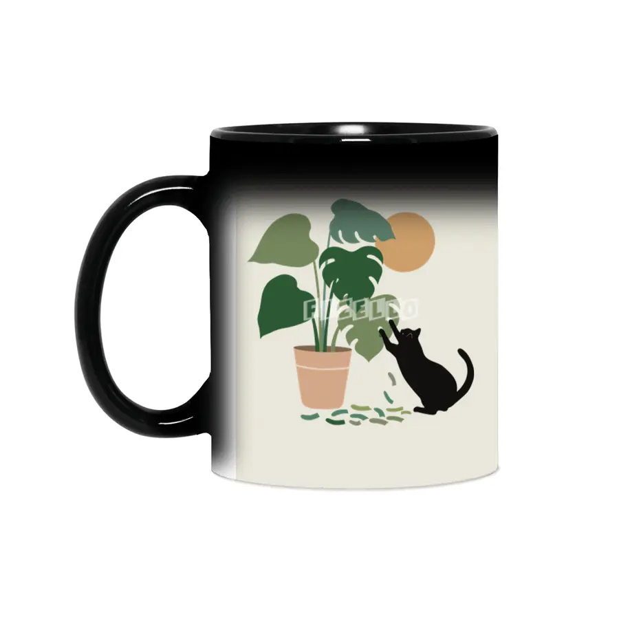 Cat and Plant 13: The Making of Monstera Sihirli Kupa