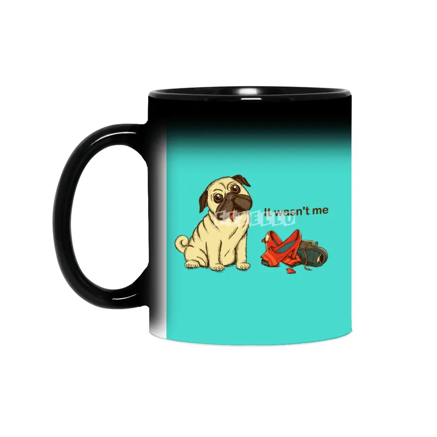 Dog Sihirli Kupa