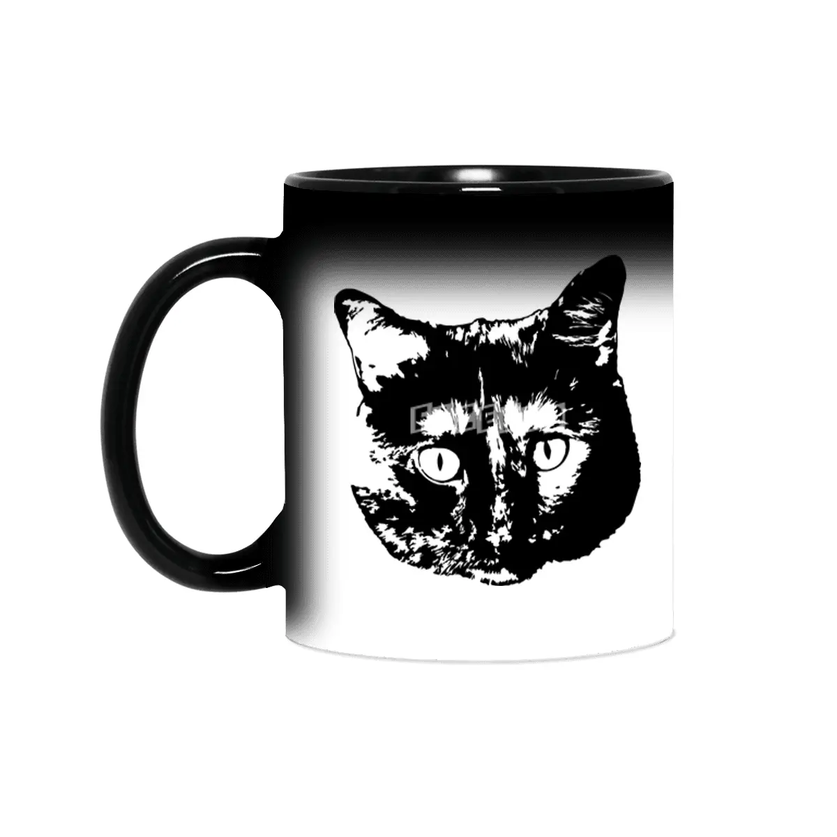 My cat Sihirli Kupa