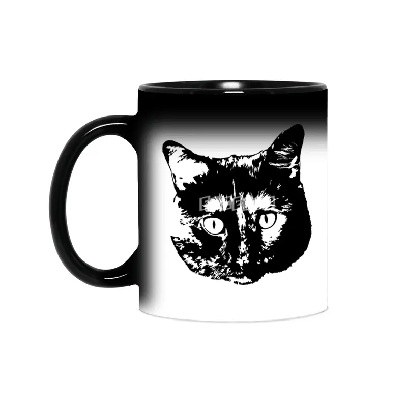 My cat Sihirli Kupa