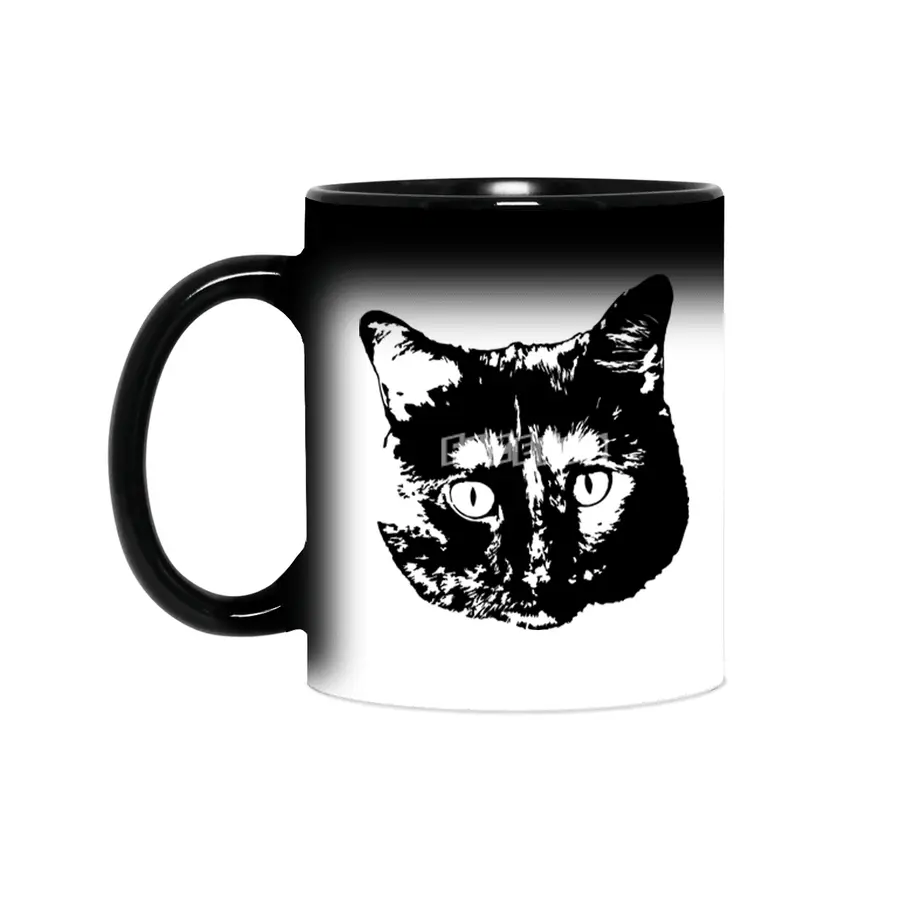 My cat Sihirli Kupa