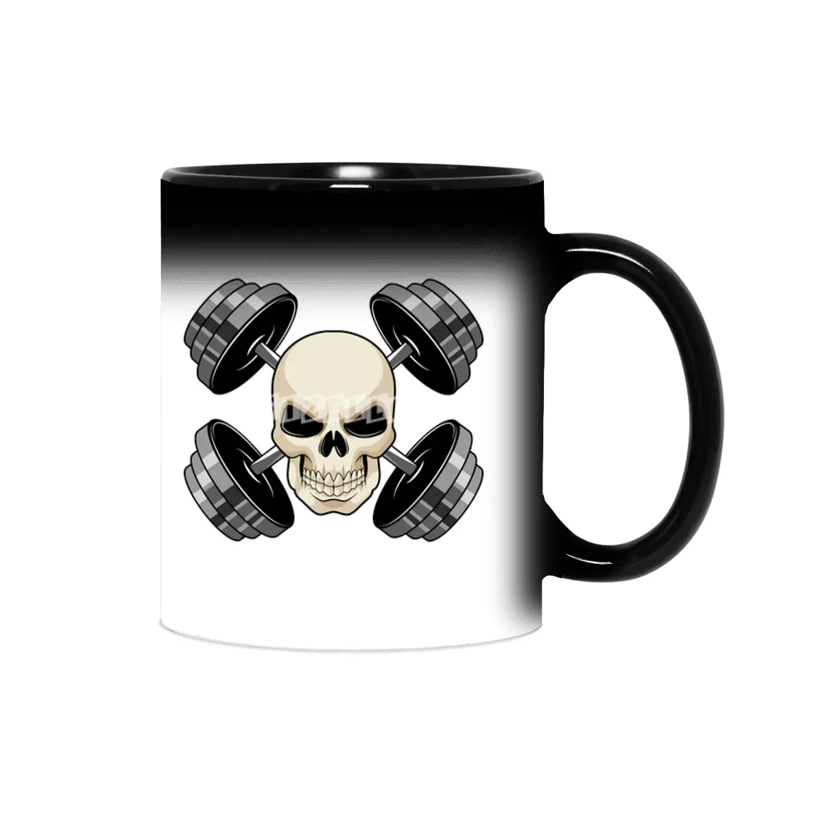 Skull Strength training Dumbbells Sihirli Kupa