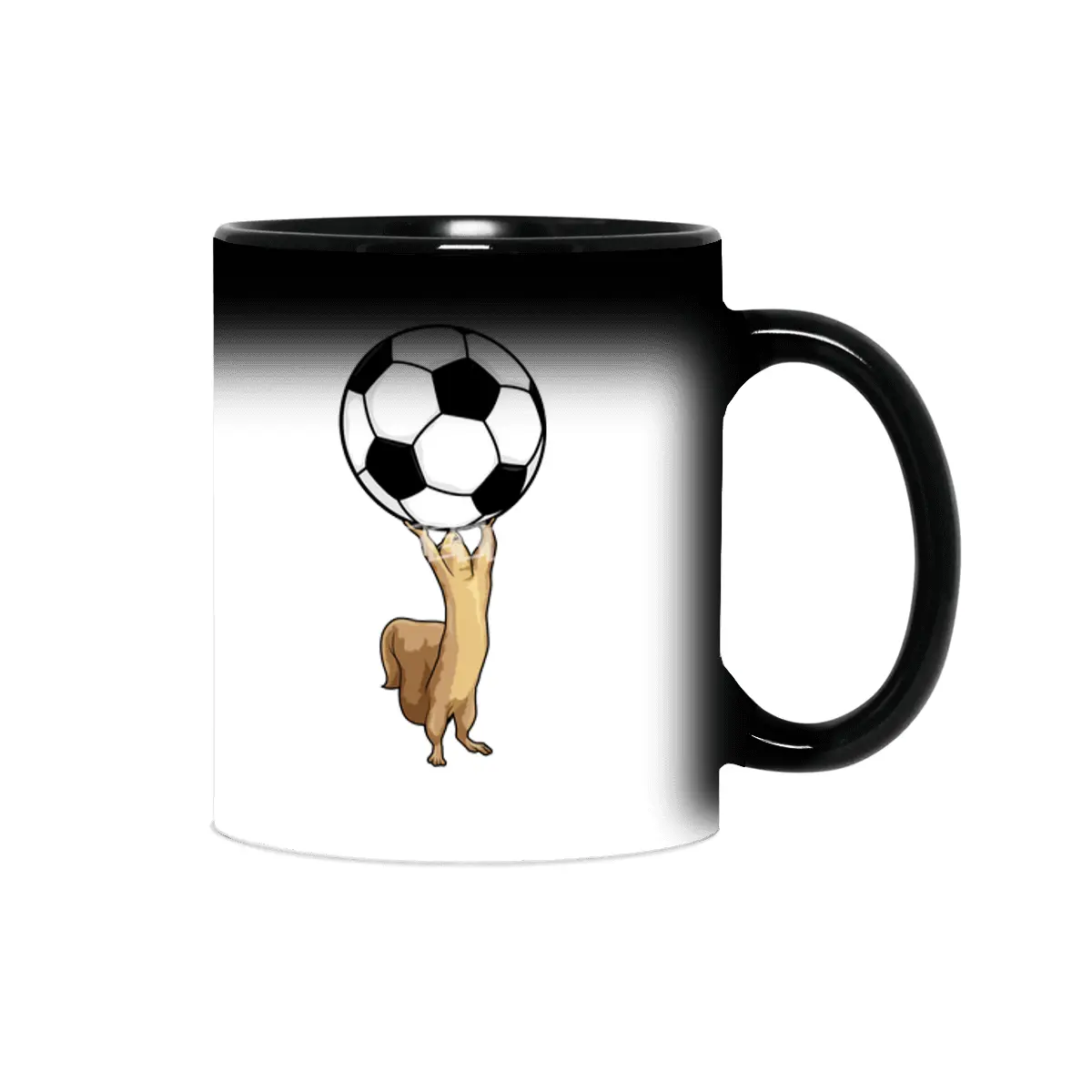 Squirrel with Soccer ball Sihirli Kupa