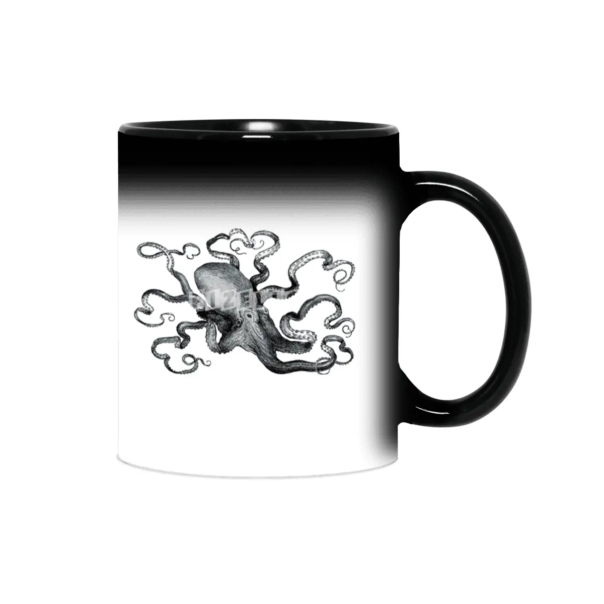 Octopus Sihirli Kupa