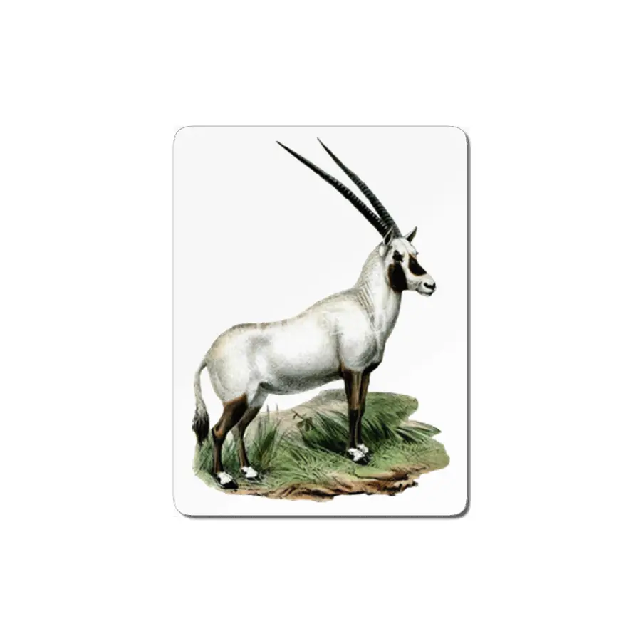 Arabian Oryx MDF Tablo