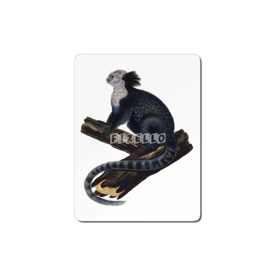 Tufted-Ear Marmoset MDF Tablo