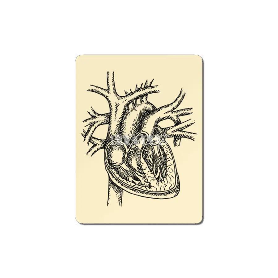 The Dissected Heart Sketch (Black) MDF Tablo