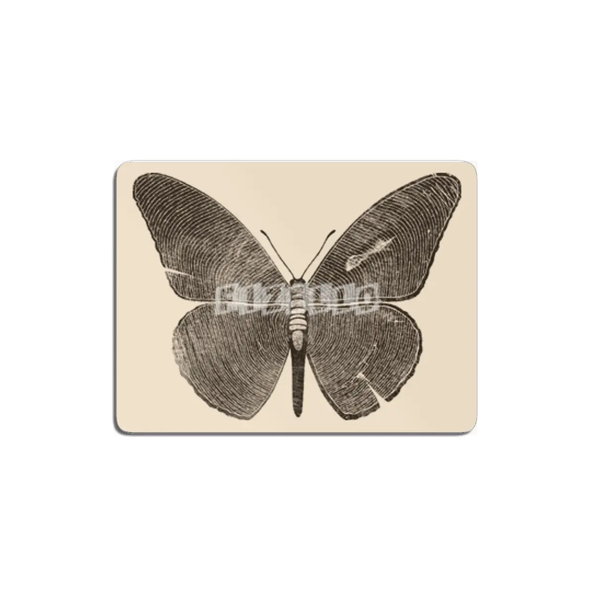 Wood Butterfly MDF Tablo