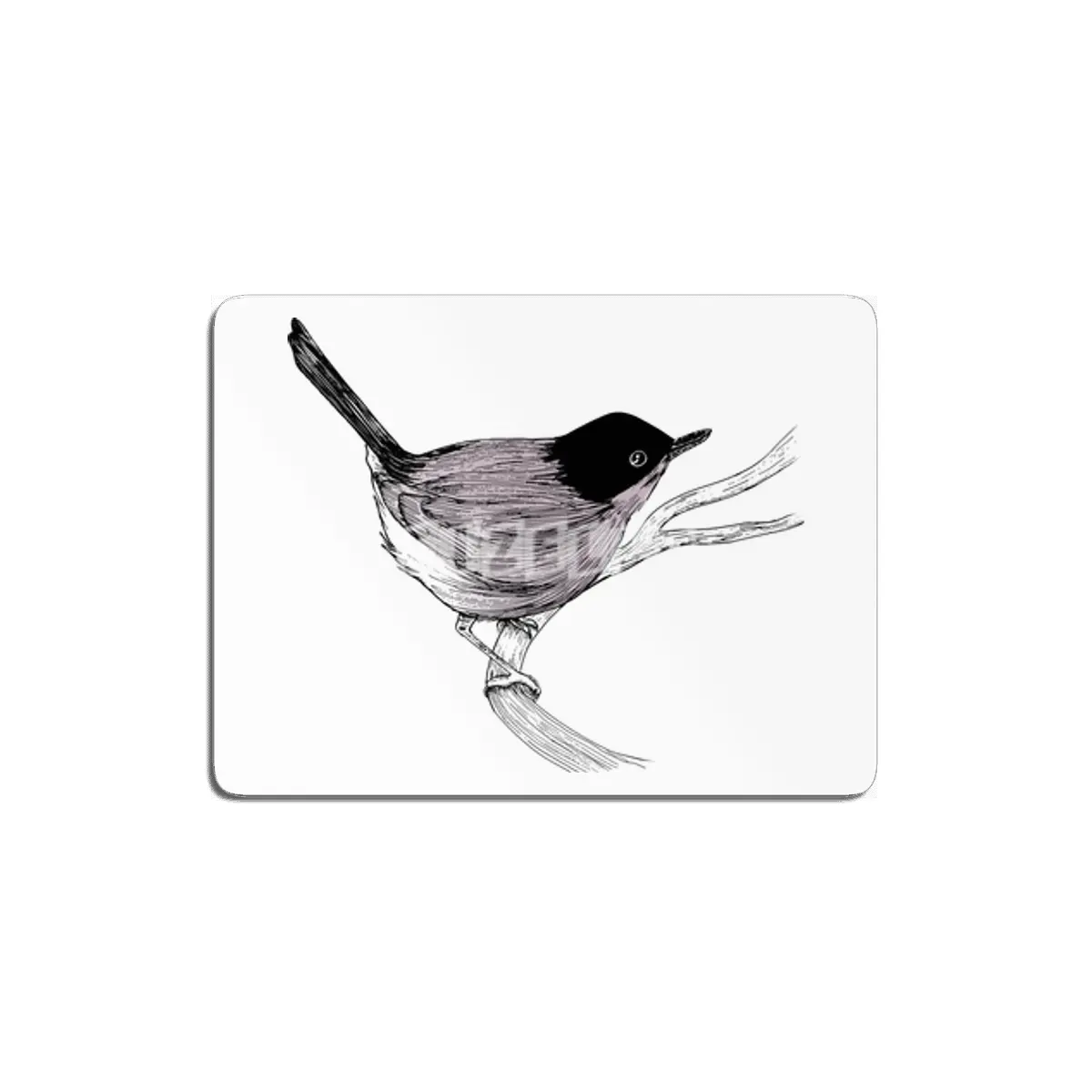Blackcap Bird MDF Tablo