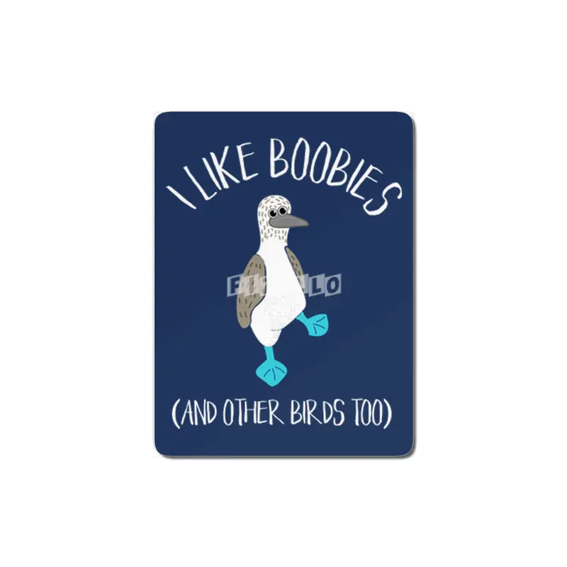 I Like Boobies (And Other Birds Too) MDF Tablo