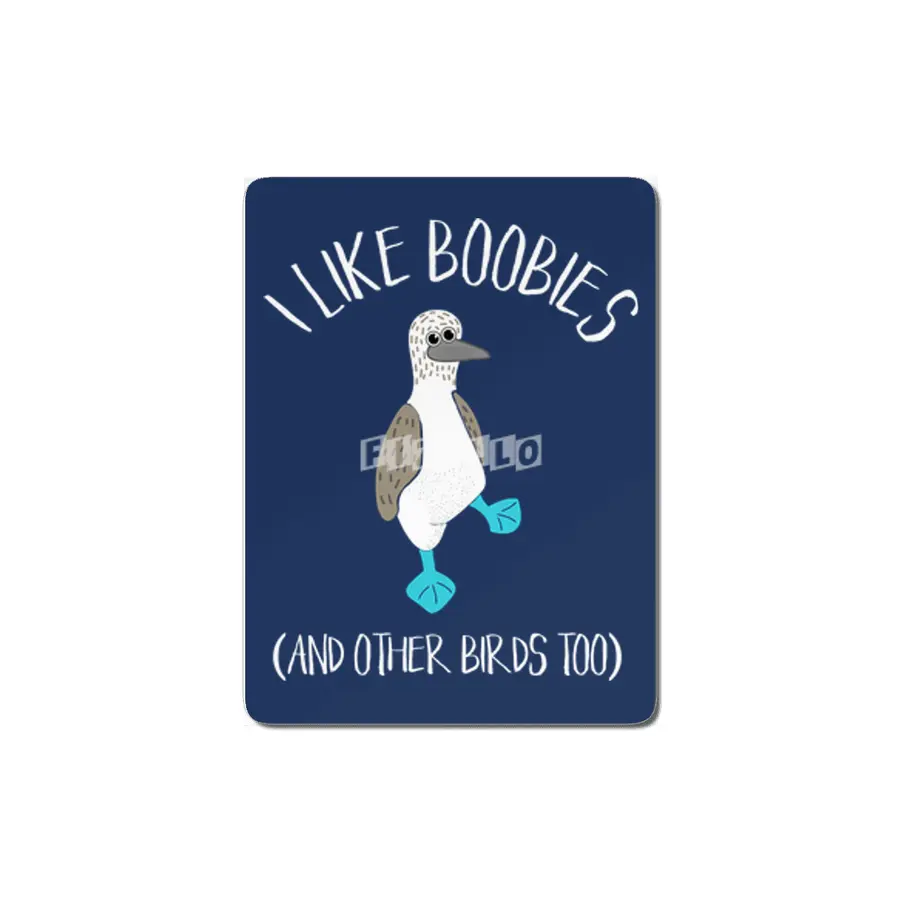 I Like Boobies (And Other Birds Too) MDF Tablo