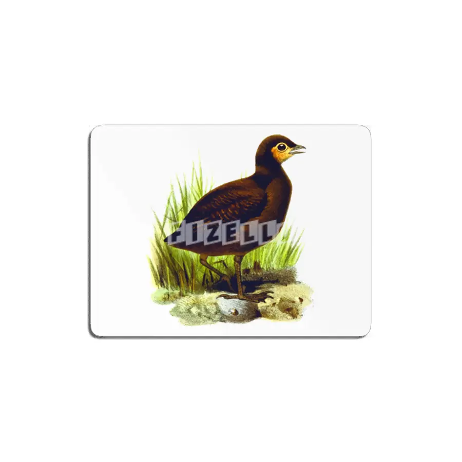 Cute birds #3 MDF Tablo