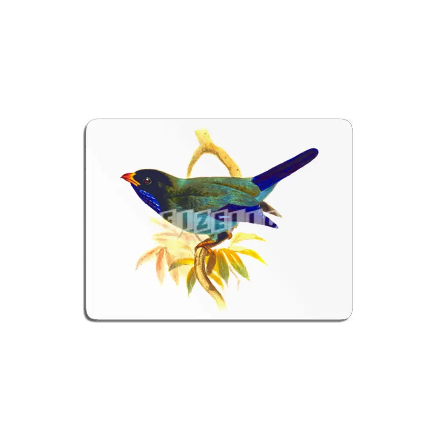 Cute birds #5 MDF Tablo