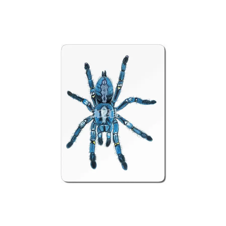 Gooty Blue Sapphire Tree Spider MDF Tablo