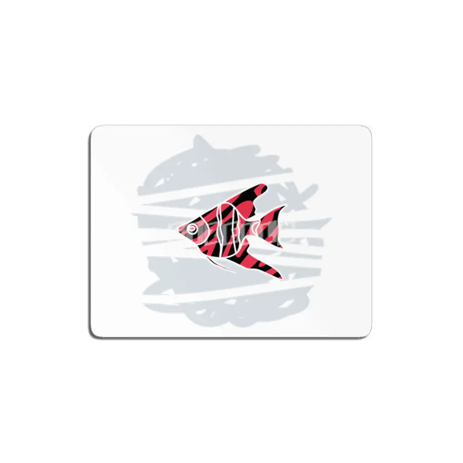 zebra red skin freshwater angelfish MDF Tablo