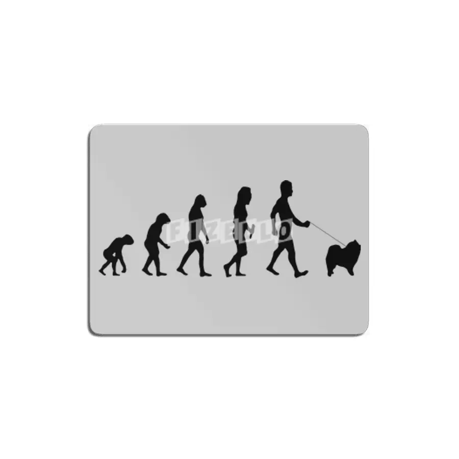 Evolution Of Labrador Logo Funny MDF Tablo