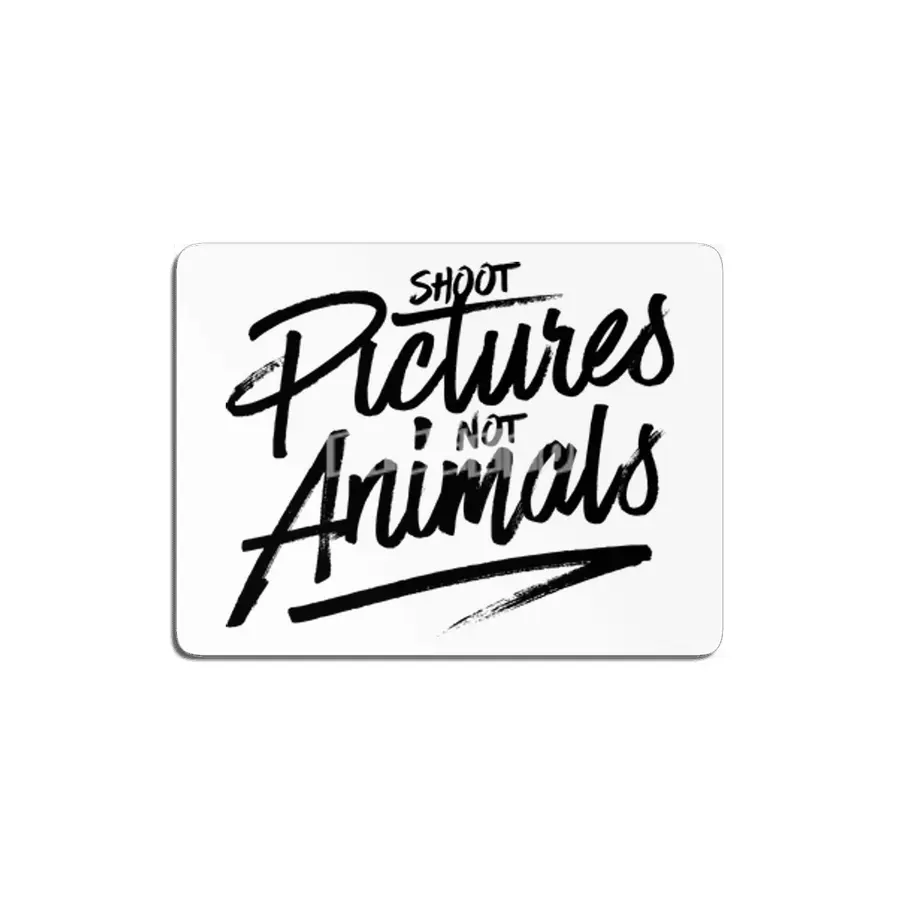 Shoot Pictures Not Animals MDF Tablo
