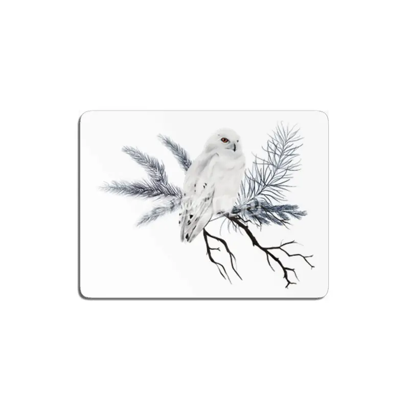 An illustration of a winter white owl MDF Tablo