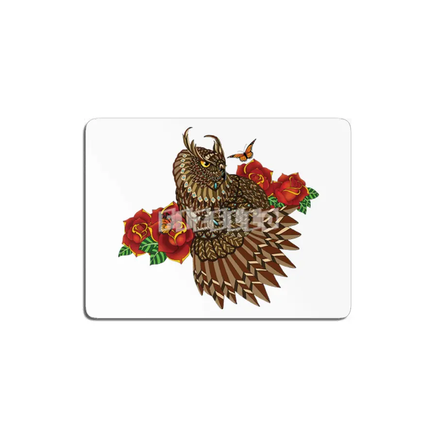 Summer Roses Owl MDF Tablo