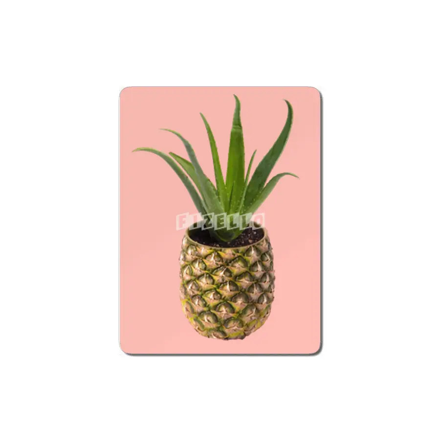 Pineapple Pot MDF Tablo