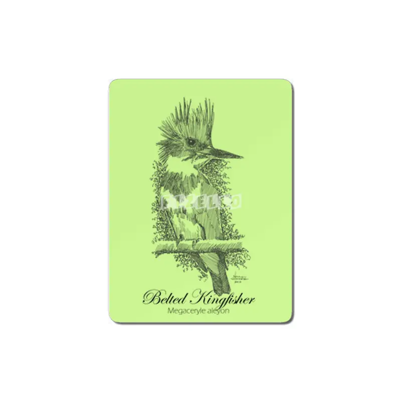 Belted Kingfisher MDF Tablo