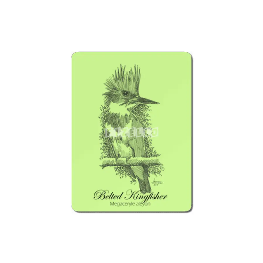 Belted Kingfisher MDF Tablo