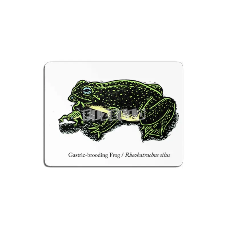 Gastric-brooding Frog MDF Tablo