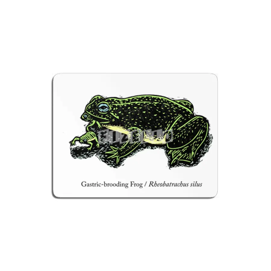 Gastric-brooding Frog MDF Tablo