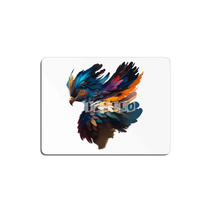 colorful bird MDF Tablo
