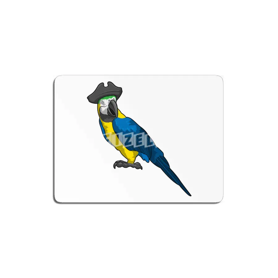 Parrot as Pirate with Hat MDF Tablo