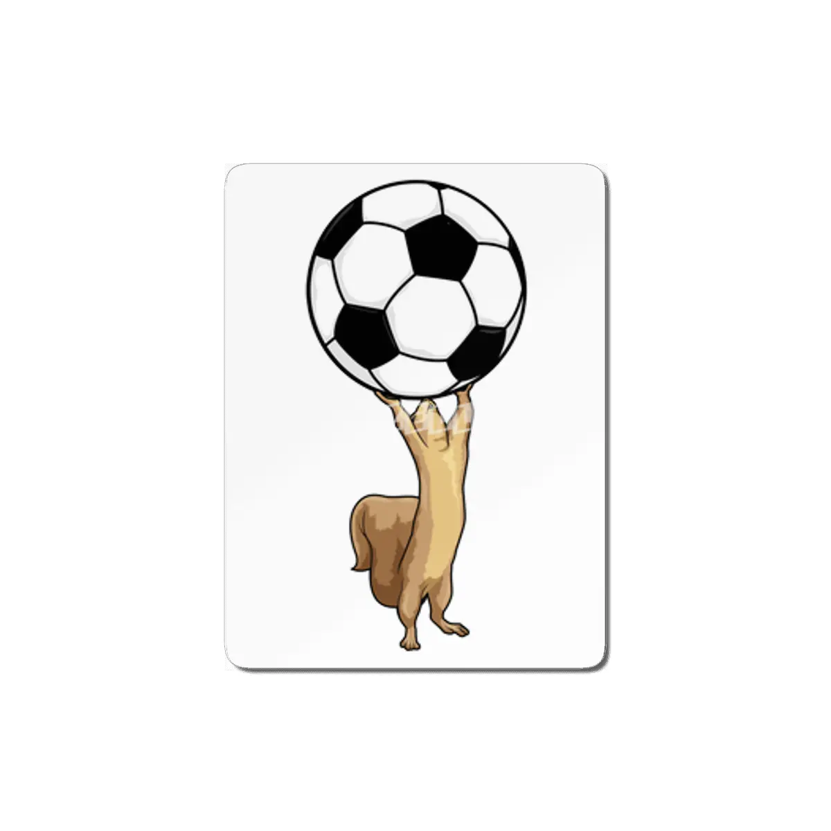 Squirrel with Soccer ball MDF Tablo