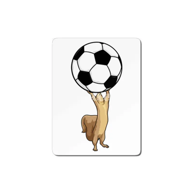 Squirrel with Soccer ball MDF Tablo