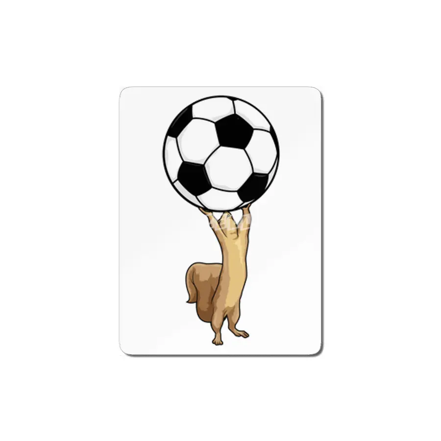 Squirrel with Soccer ball MDF Tablo