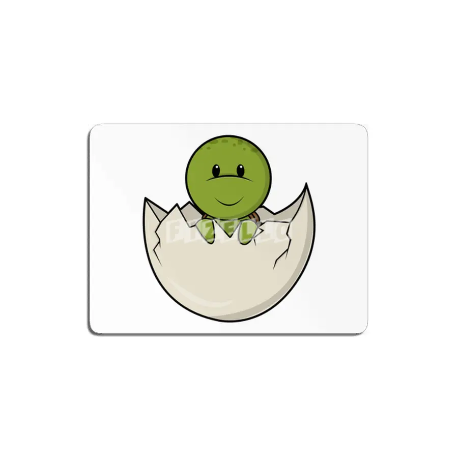 Turtle as Baby with Eggshell MDF Tablo