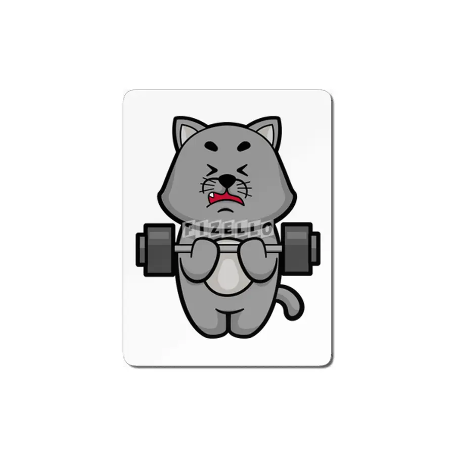 Cat at Biceps training with Barbell MDF Tablo