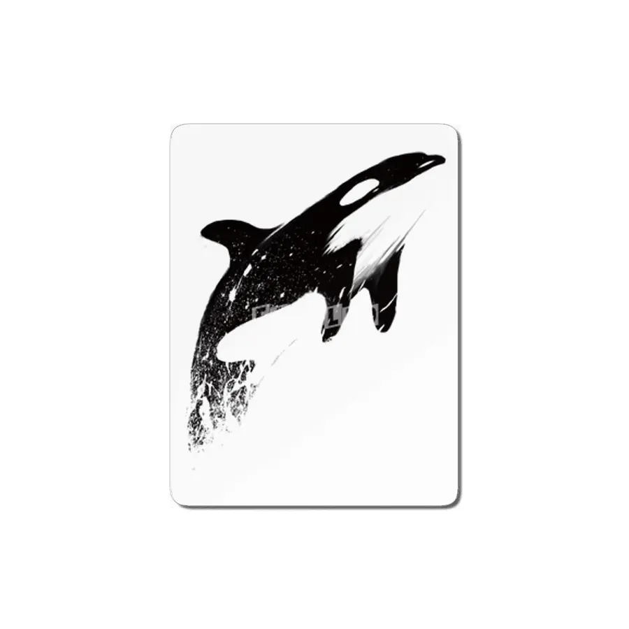 orcas can fly MDF Tablo