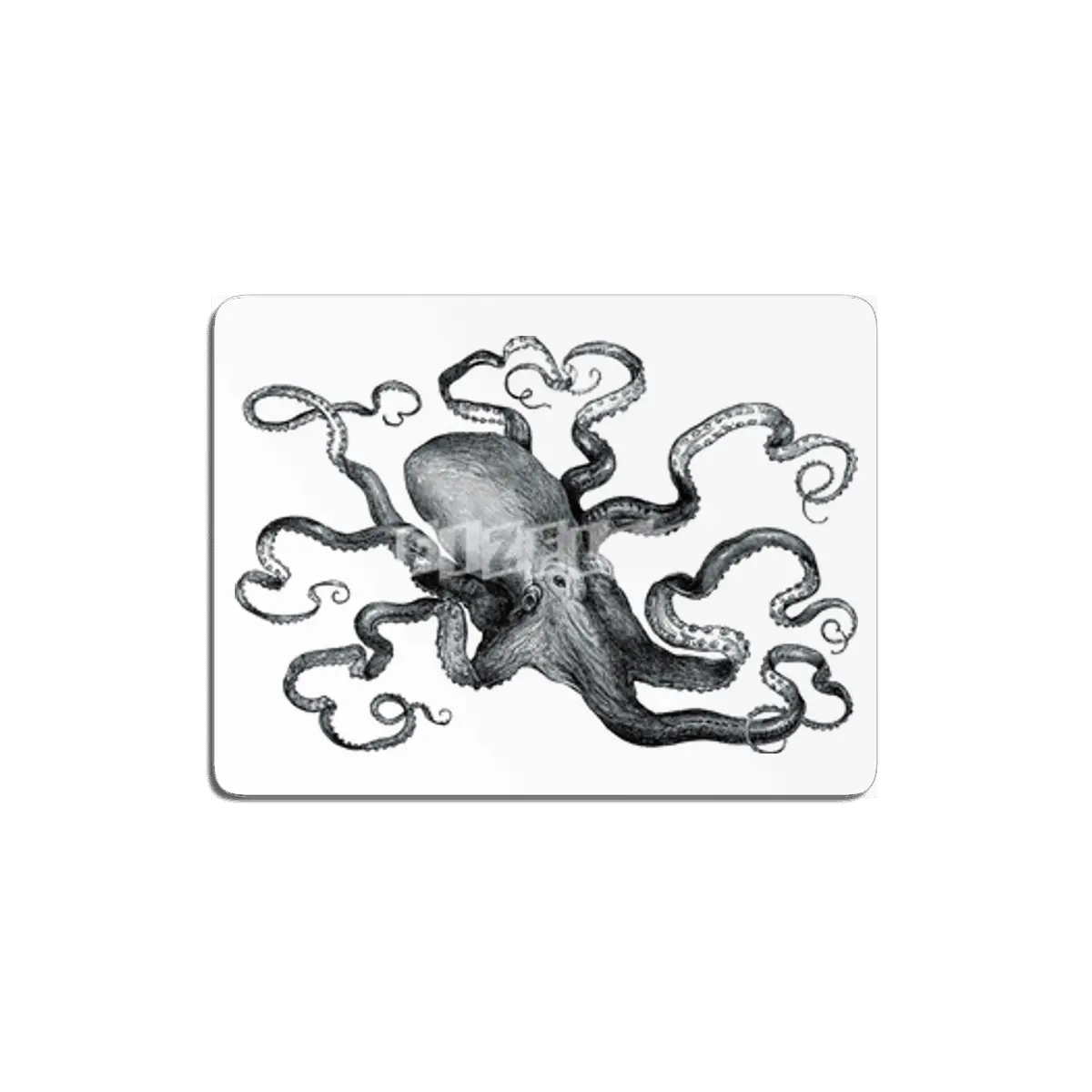Octopus MDF Tablo