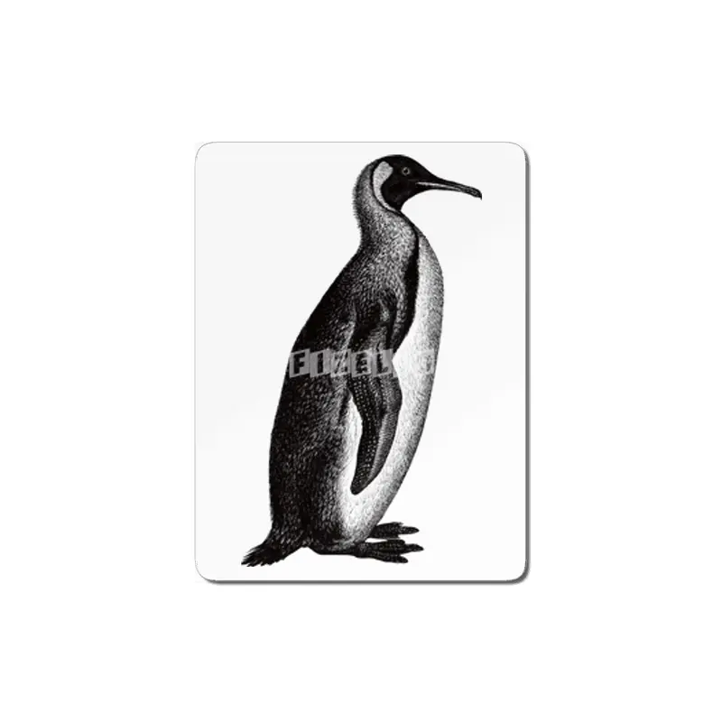 Penguin MDF Tablo