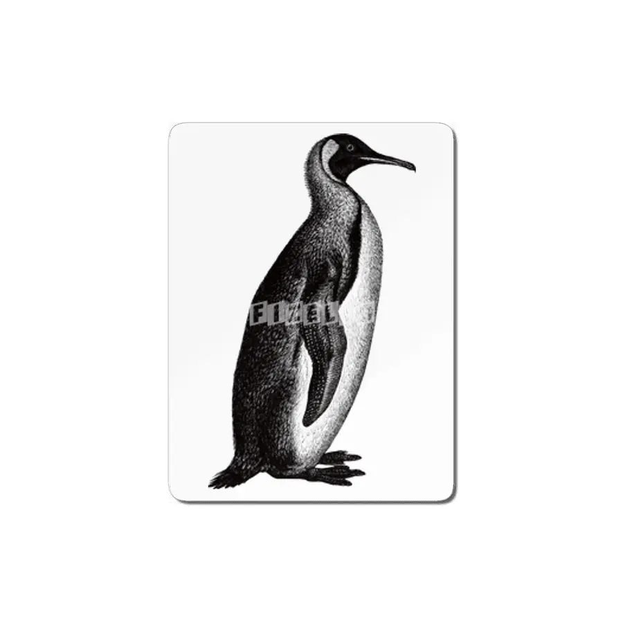 Penguin MDF Tablo