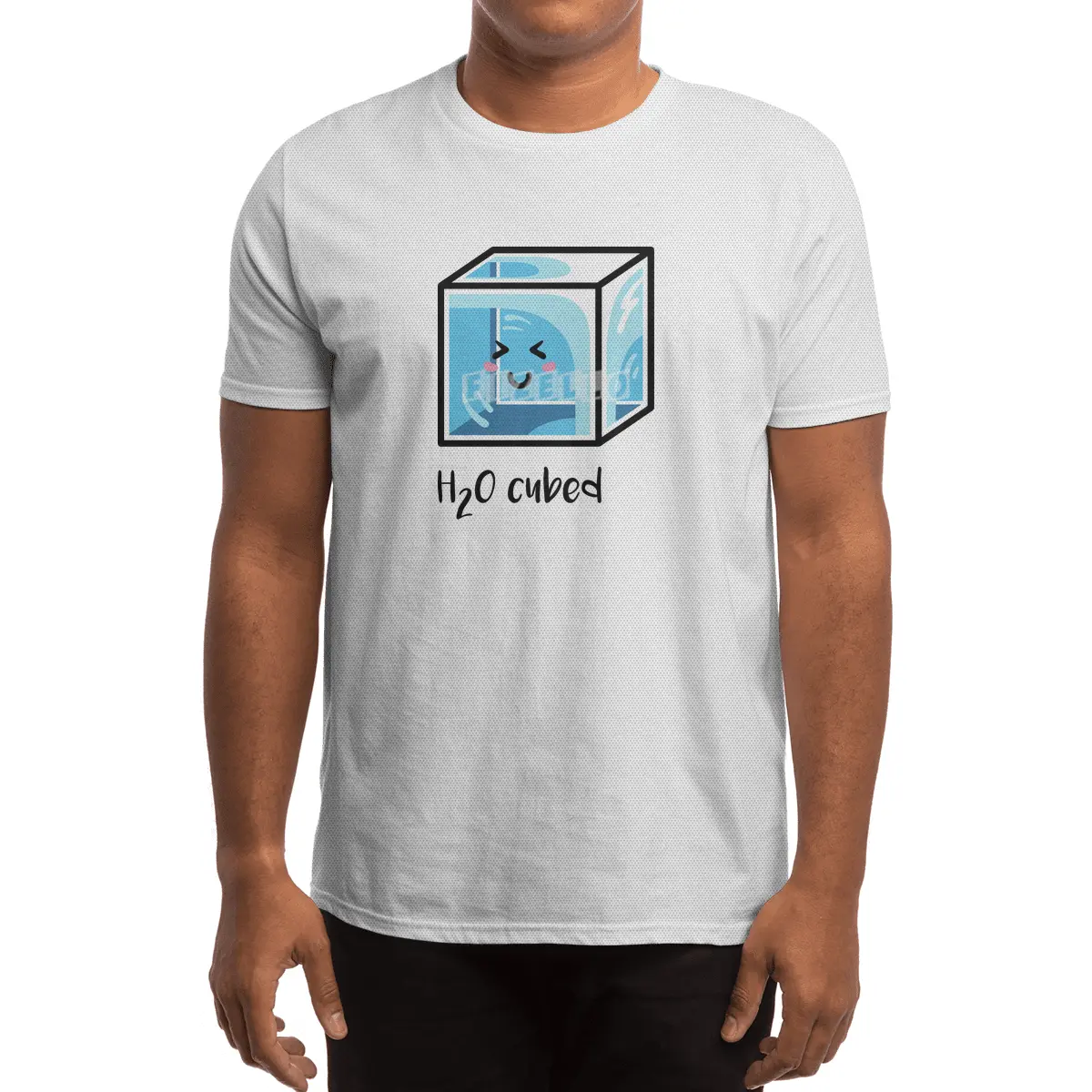 H2O Cubed Ice Block Chemistry Science Joke Spor T-Shirt