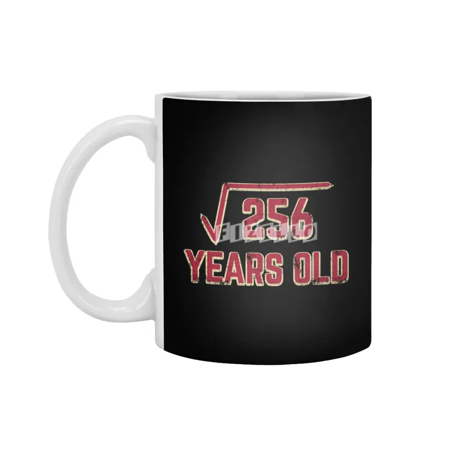 16th Birthday Gift Square Root of 256 Beyaz Kupa