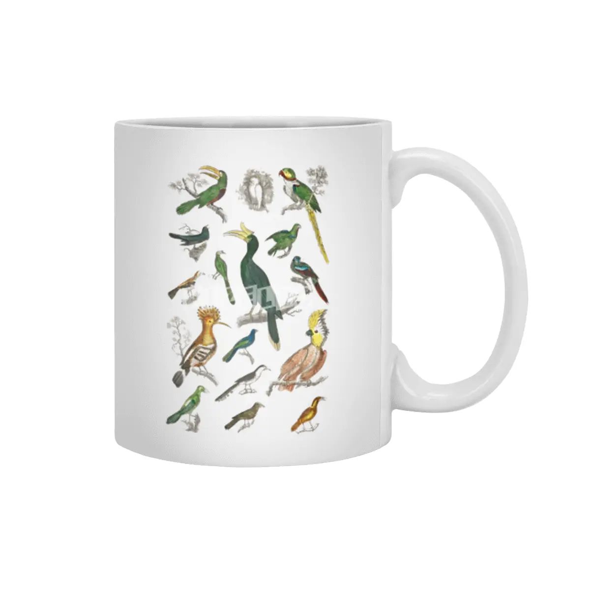 ANIMATED NATURE __11 Beyaz Kupa