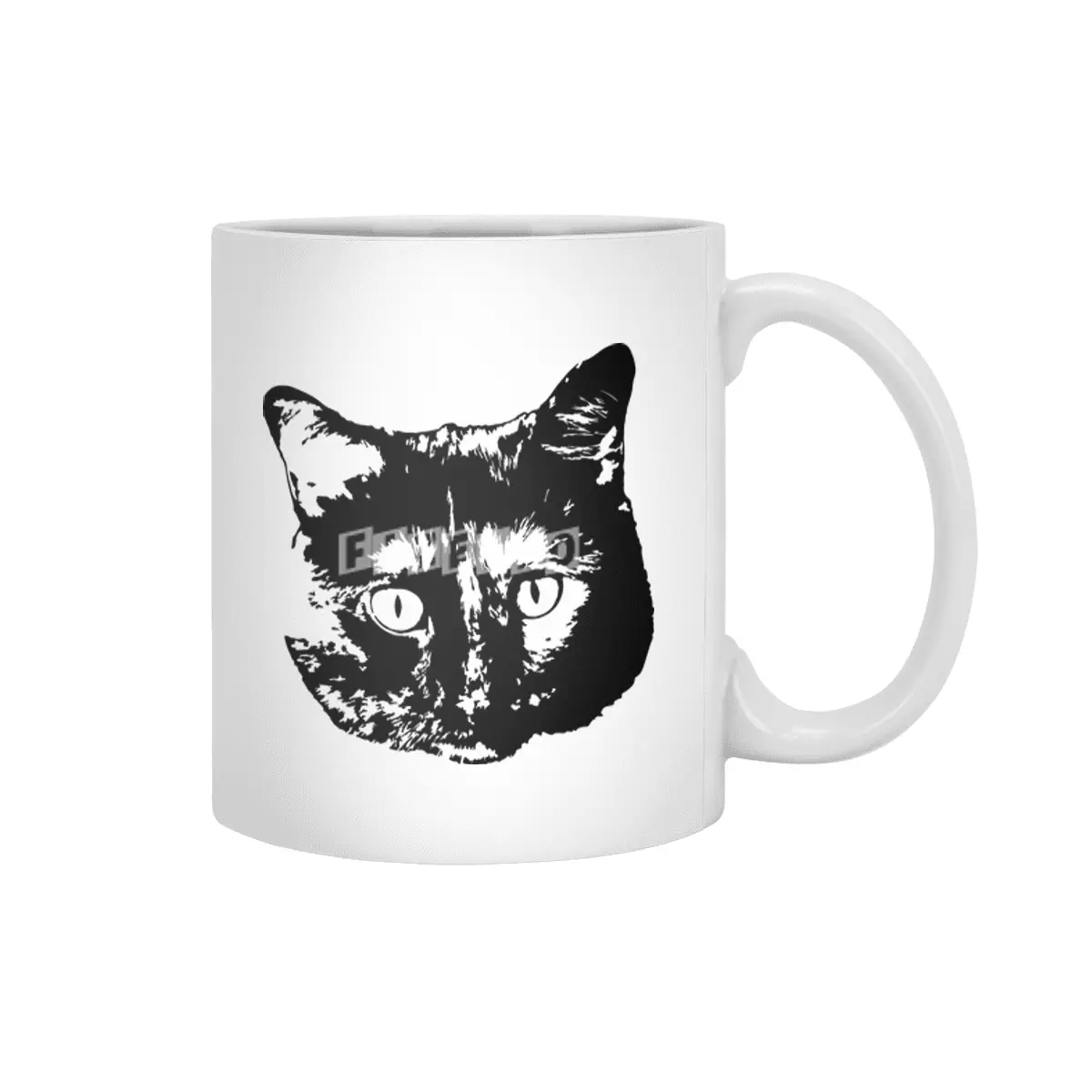 My cat Beyaz Kupa