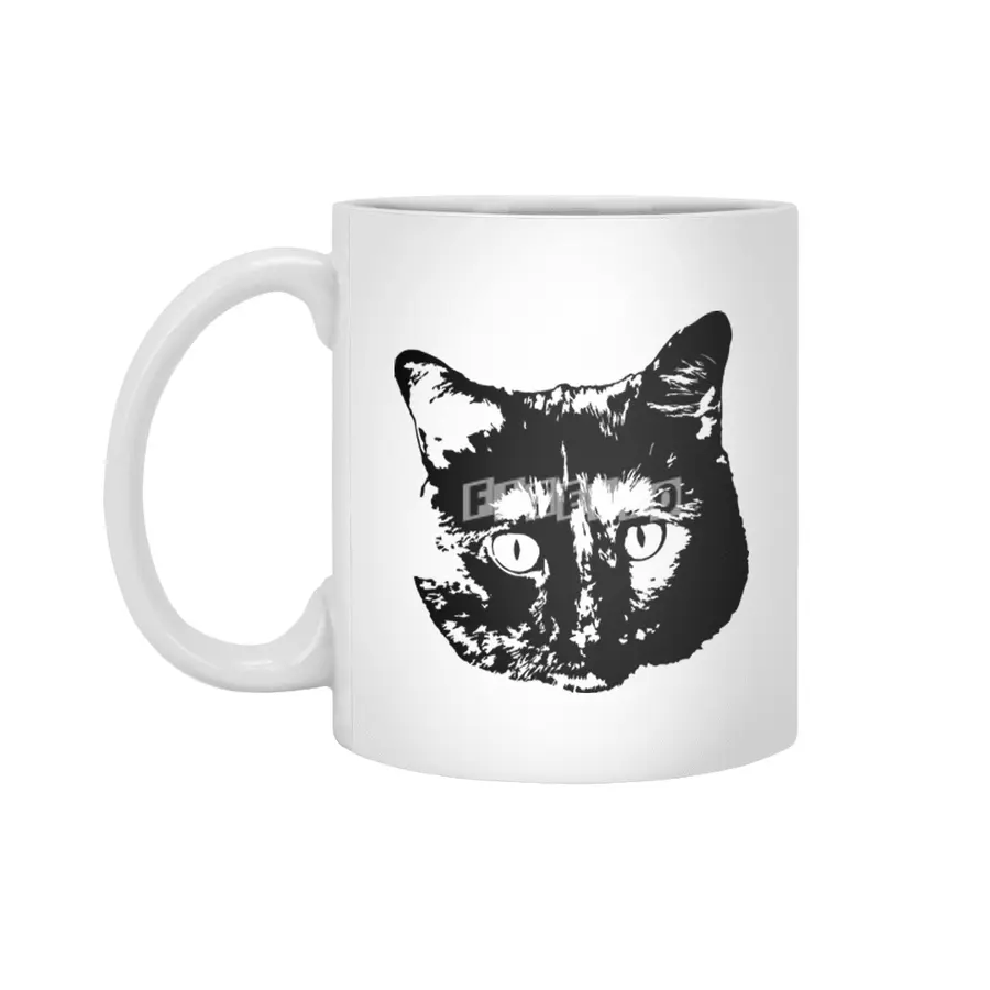 My cat Beyaz Kupa